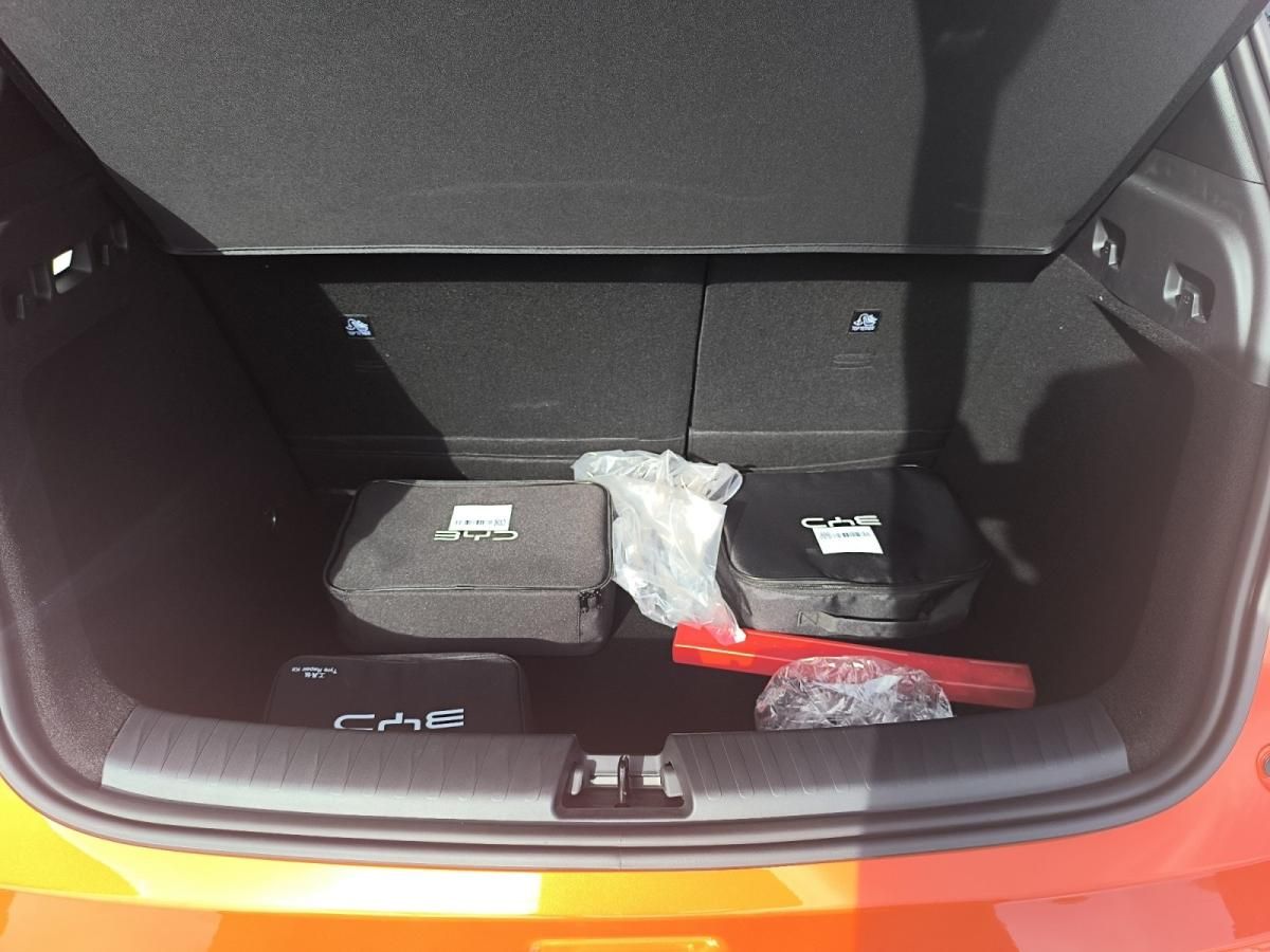 byd-dolphin-2026-hibrido-a-gasolina-0cc