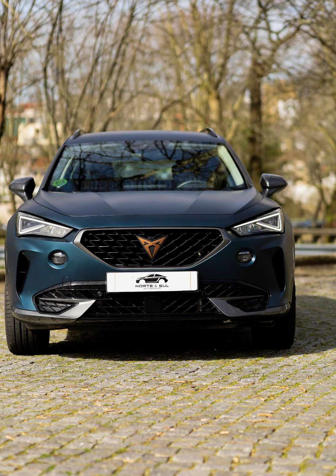 cupra-formentor-1-5-tsi-2023-gasolina-1498cc