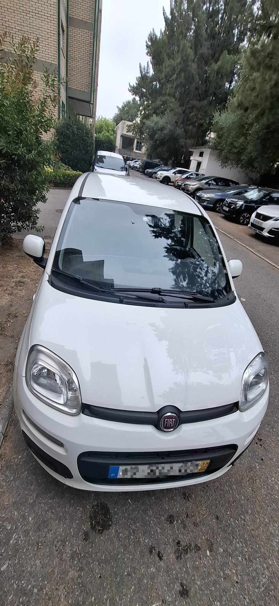 fiat-panda-1-2-2019-gasolina-1242cc