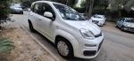 fiat-panda-1-2-2019-gasolina-1242cc