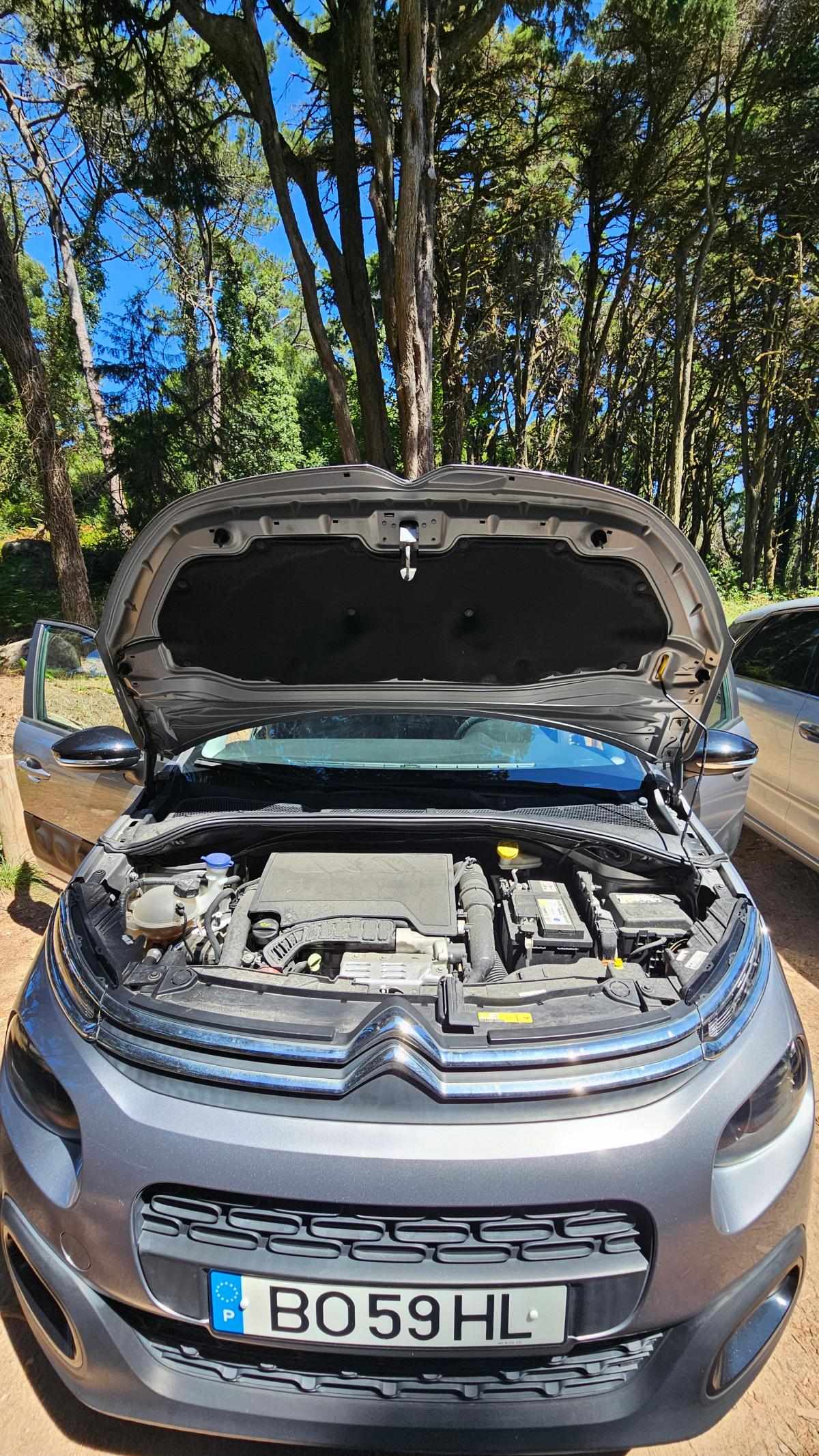 citroen-c3-1-2-puretech-2019-gasolina-1199cc