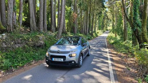 citroen-c3-1-2-puretech-2019-gasolina-1199cc