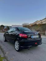 peugeot-206-1-6-2001-gasolina-1587cc