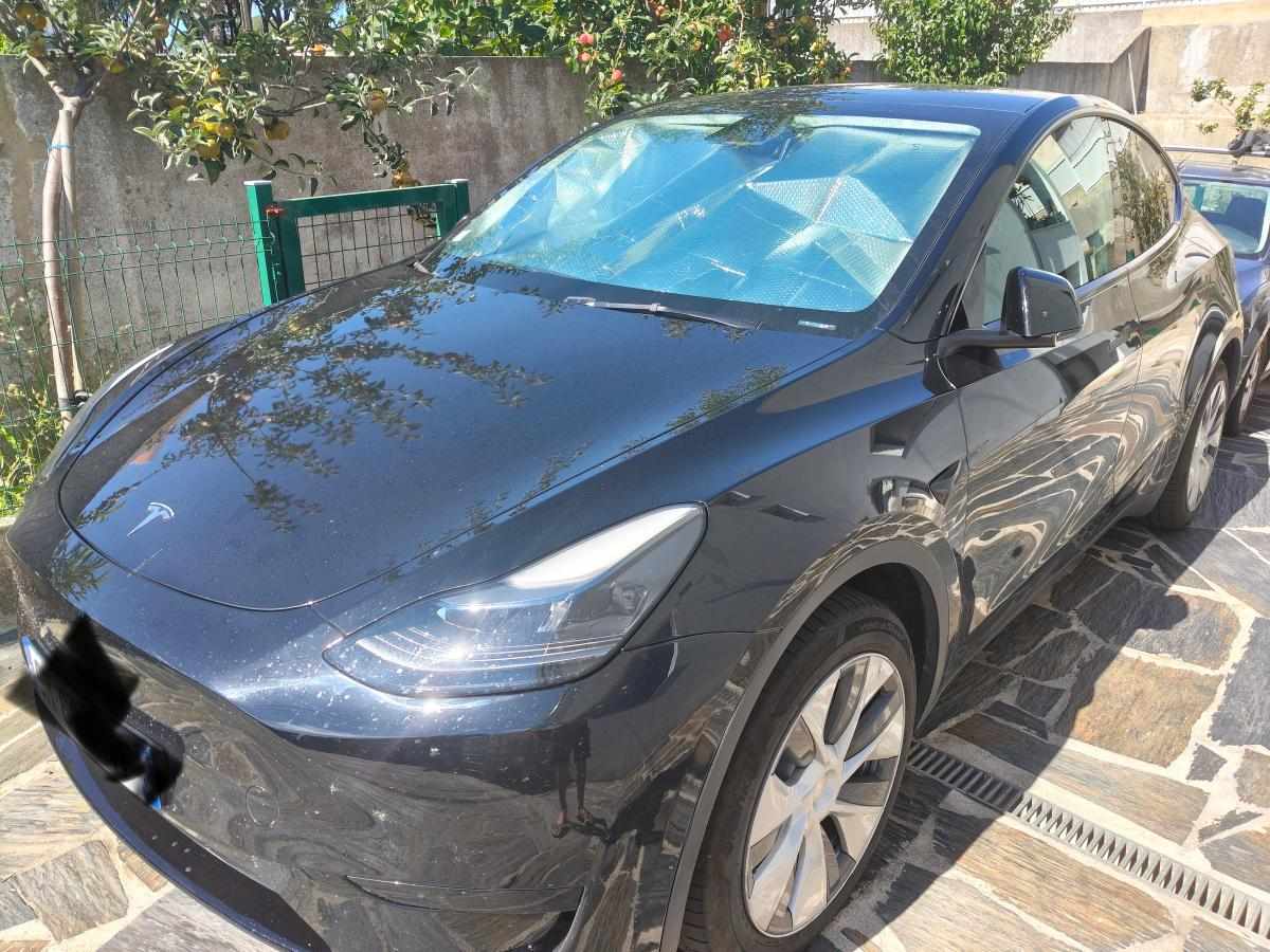 tesla-model-y-standard-range-rwd-2023-eletrico