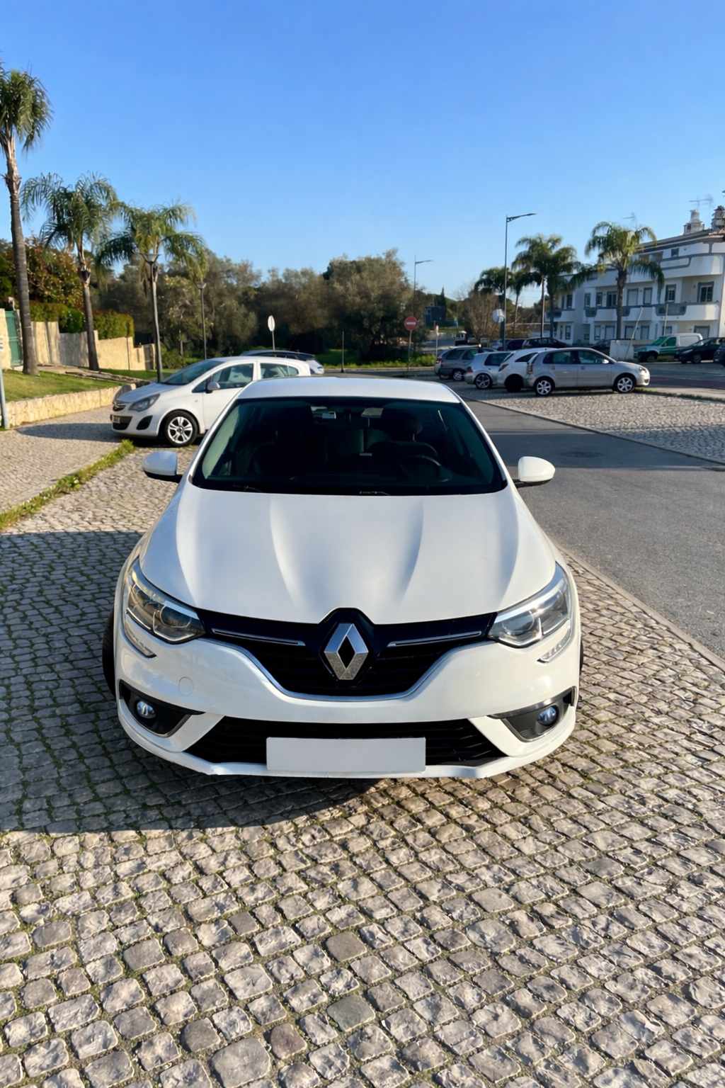 renault-megane-1-5-dci-2019-diesel-1461cc