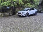 cupra-formentor-1-geracao-2021-gasolina-1395cc