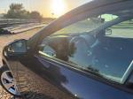 renault-megane-1-5-dci-2010-diesel-1461cc