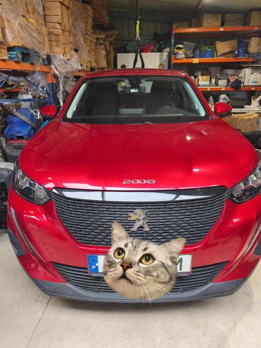 peugeot-2008-1-2-puretech-2020-gasolina-1199cc