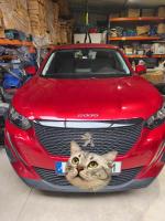 peugeot-2008-1-2-puretech-2020-gasolina-1199cc