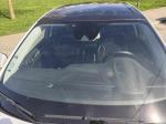 renault-megane-1-6-dci-2018-diesel-1598cc