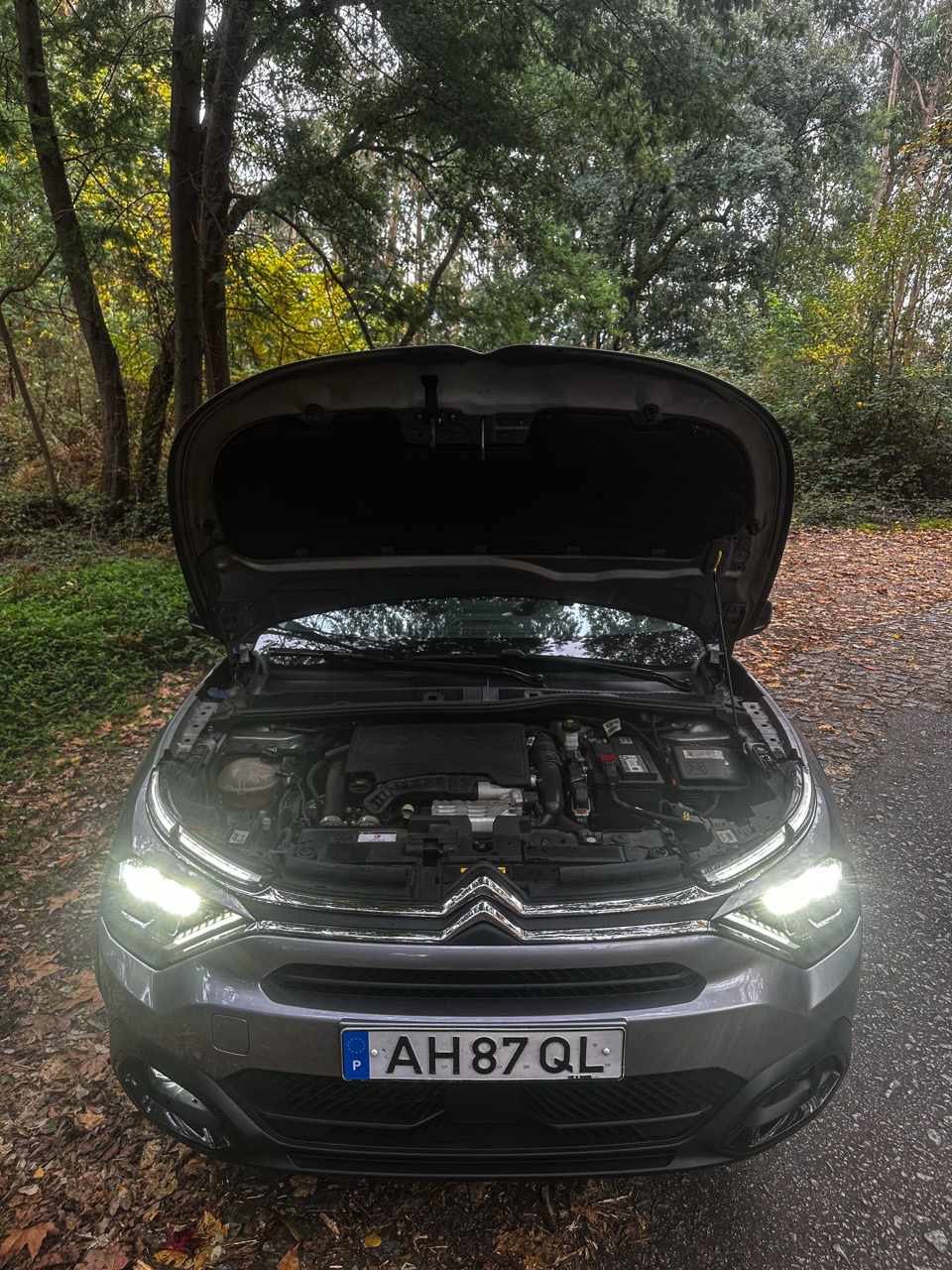 citroen-c4-1-2-puretech-2021-gasolina-1199cc