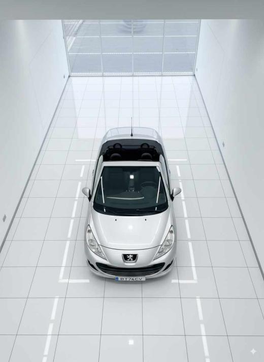 peugeot-207-1-6-vti-2009-gasolina-1598cc