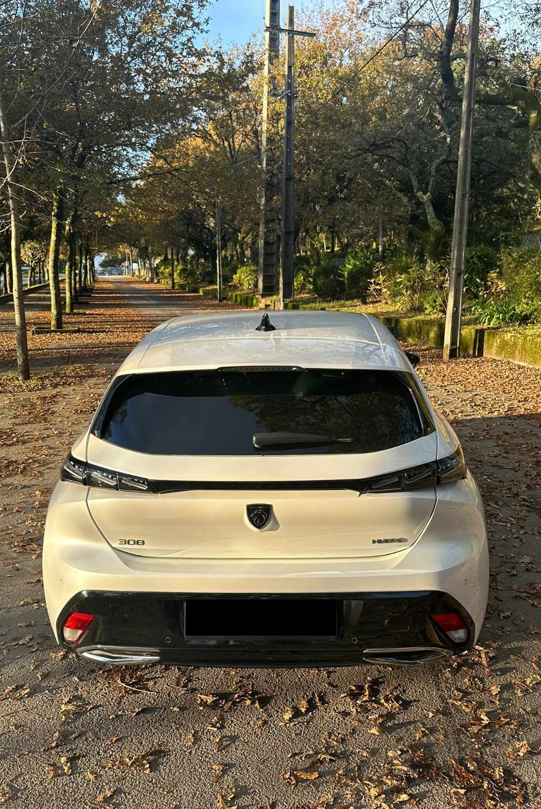 peugeot-308-1-6-hybrid-2022-gasolina-1598cc
