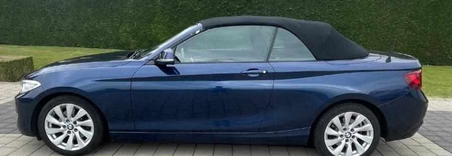 bmw-serie-2-220d-cabrio-2015-diesel-1995cc