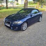bmw-serie-2-220d-cabrio-2015-diesel-1995cc