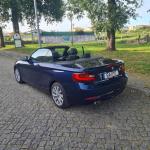 bmw-serie-2-220d-cabrio-2015-diesel-1995cc