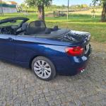 bmw-serie-2-220d-cabrio-2015-diesel-1995cc