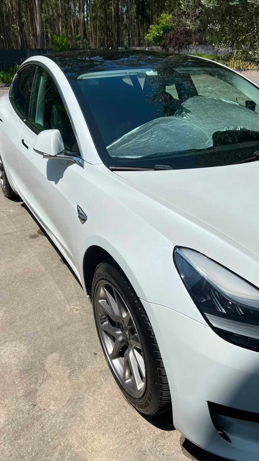tesla-model-3-standard-range-2020-eletrico