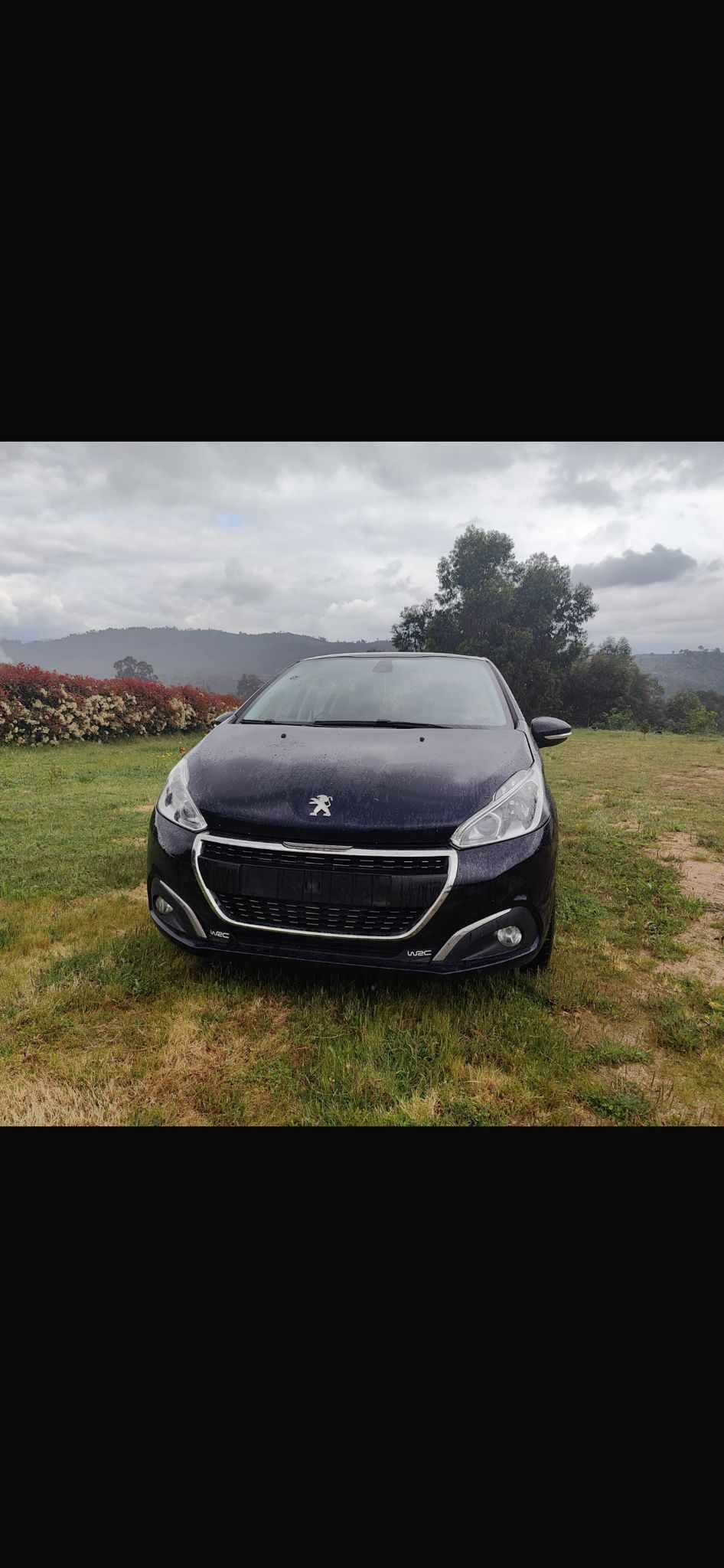 peugeot-208-1-2-puretech-2018-gasolina-1199cc