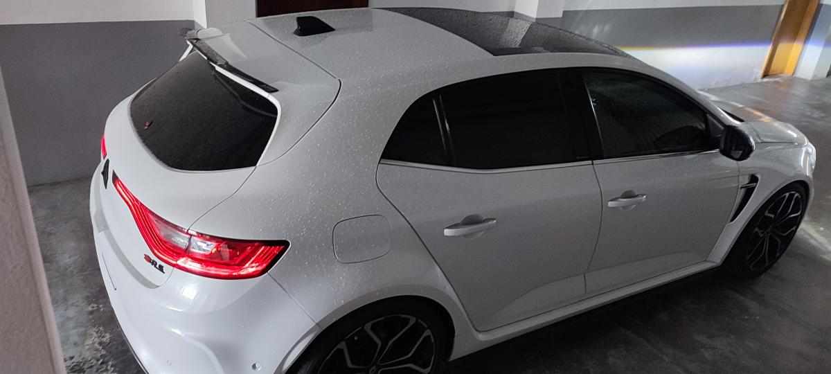 renault-megane-r-s-1-8-2018-gasolina-1798cc