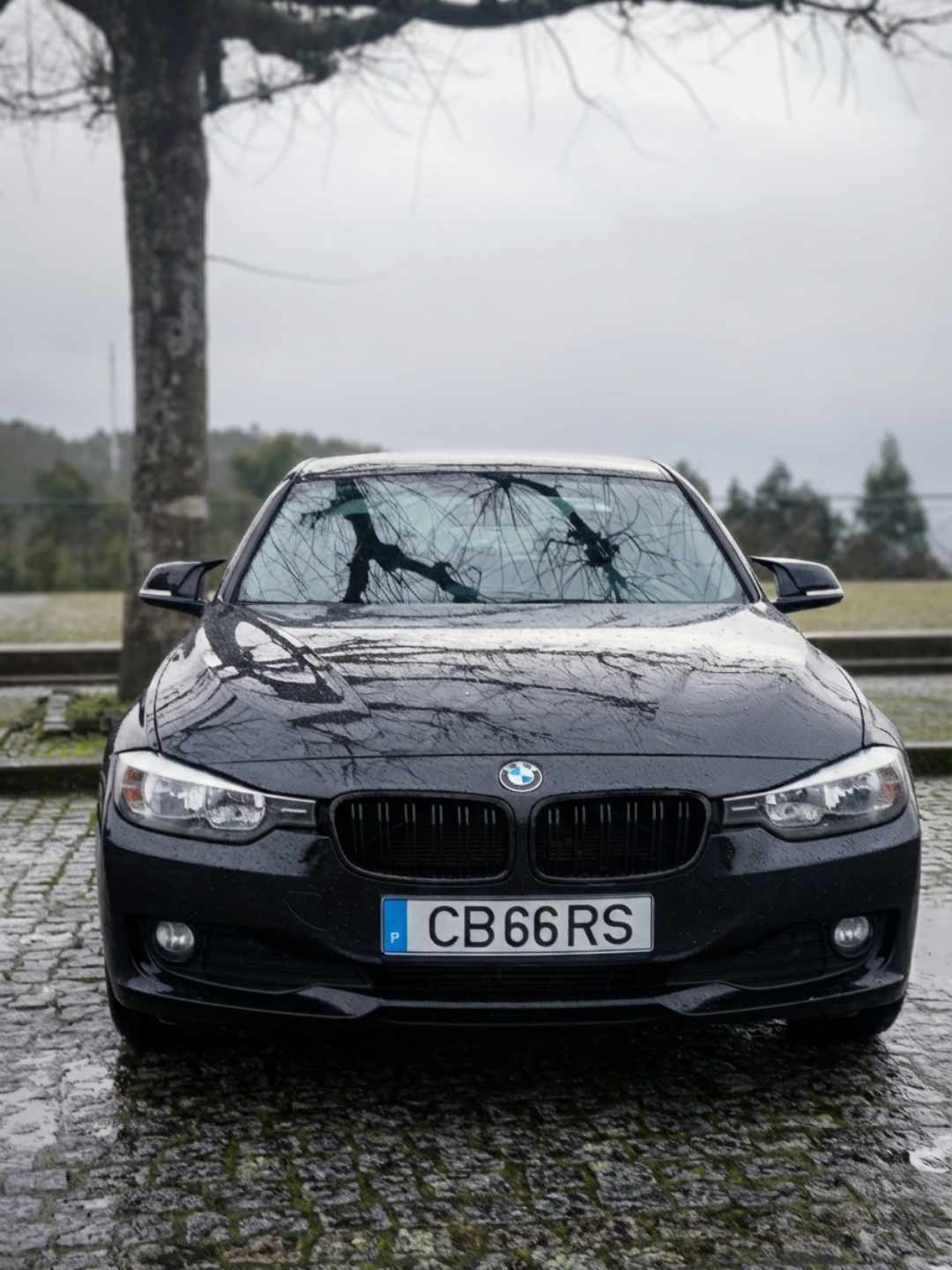 bmw-serie-3-316d-2012-diesel-1995cc
