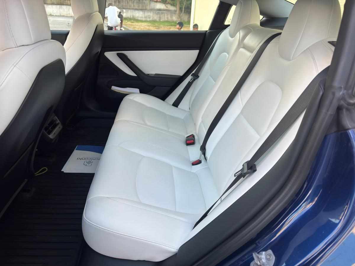 tesla-model-3-standard-range-2019-eletrico