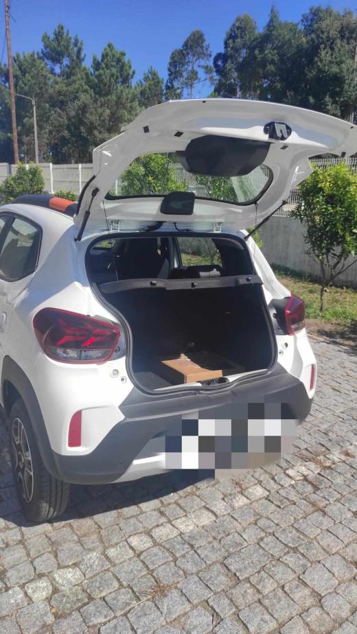 dacia-spring-spring-2022-eletrico