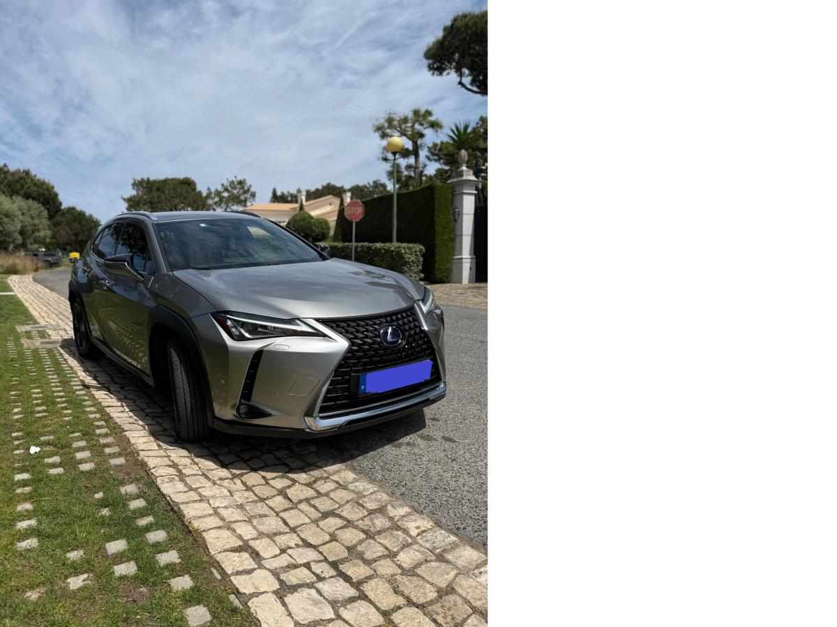 lexus-ux-250h-e-four-2019-gasolina-1987cc