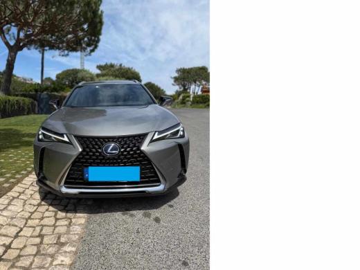 lexus-ux-250h-e-four-2019-gasolina-1987cc
