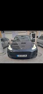 tesla-model-y-standard-range-rwd-2024-eletrico