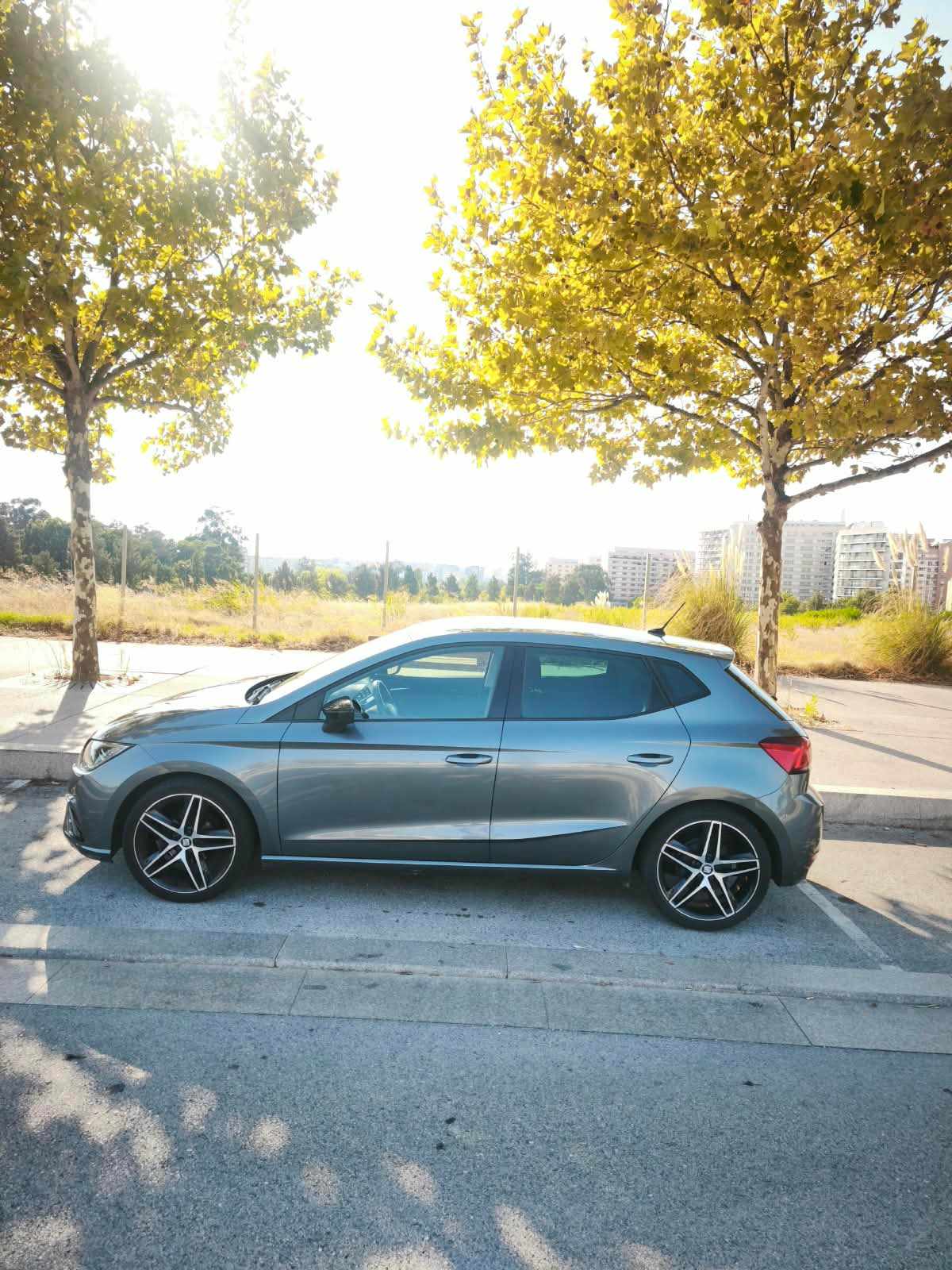 seat-ibiza-1-0-ecotsi-2018-gasolina-999cc