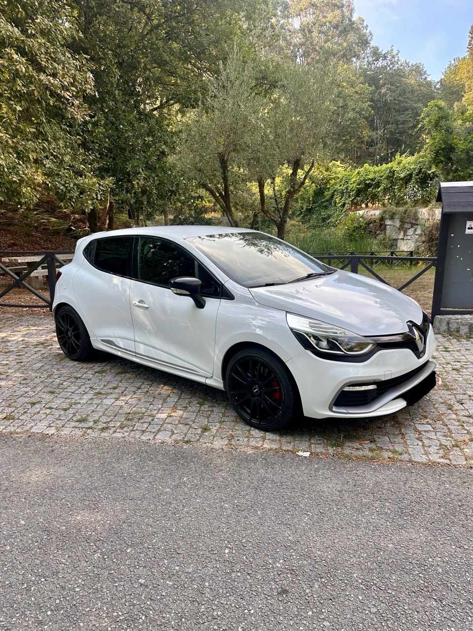renault-clio-rs-1-6-tce-2014-gasolina-1618cc