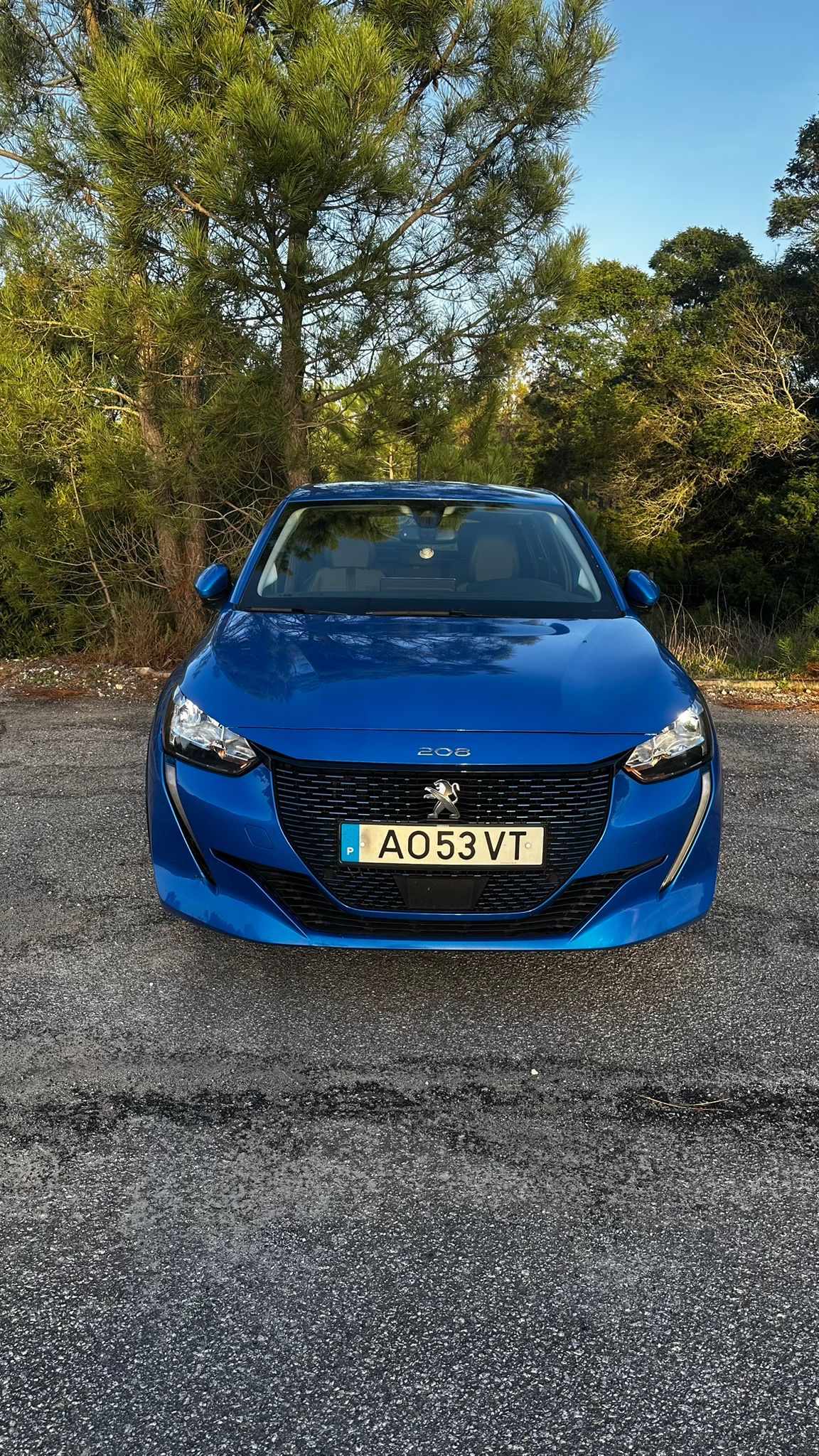 peugeot-208-e-208-50-kwh-2020-eletrico