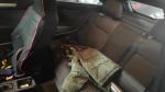 opel-astra-1-3-cdti-2006-diesel-1248cc
