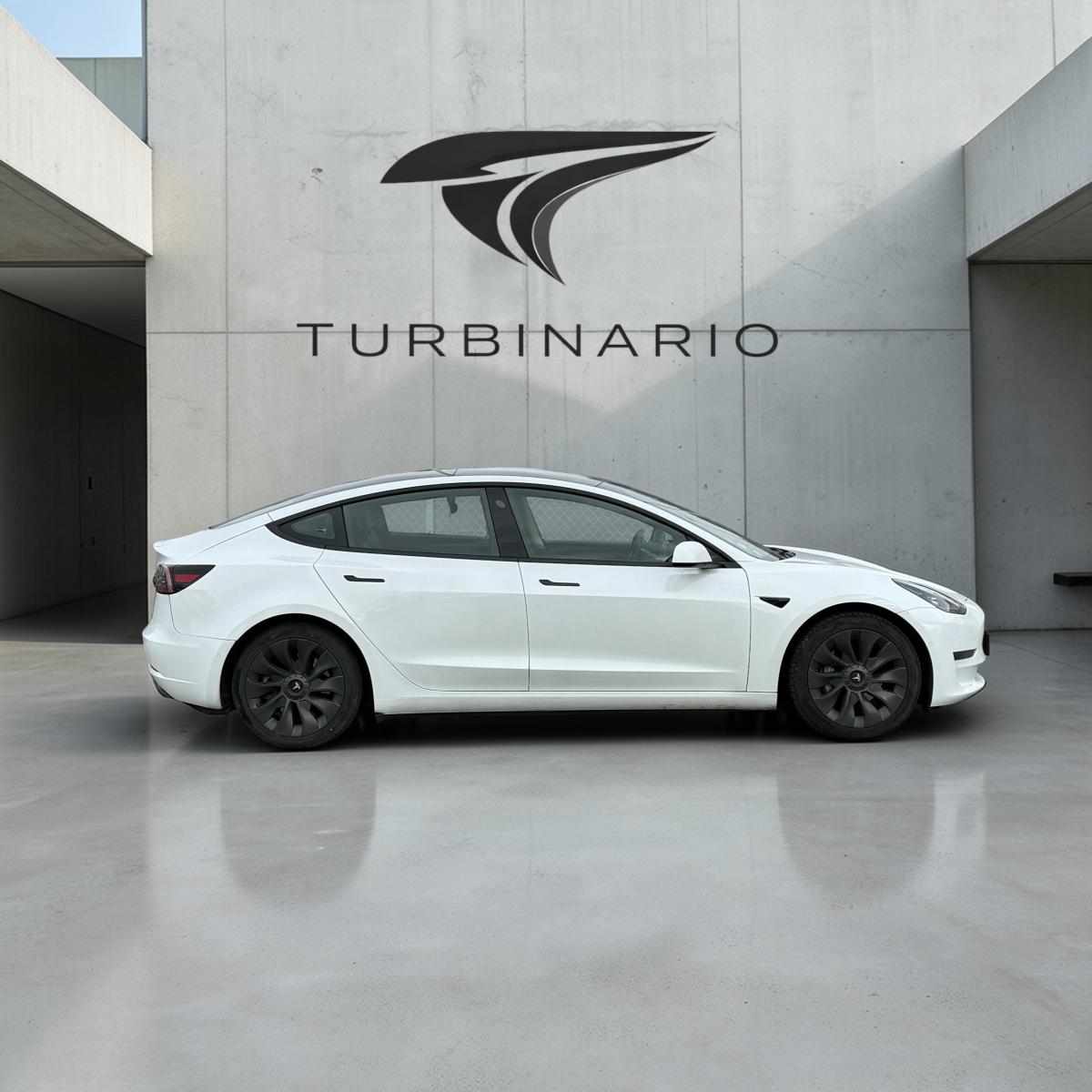 tesla-model-3-performance-2021-eletrico