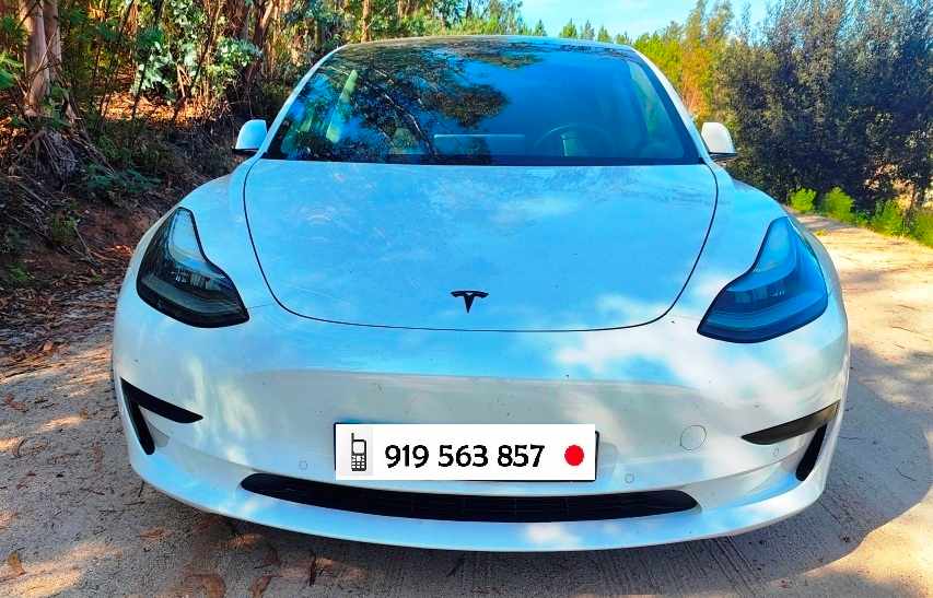 tesla-model-3-standard-range-2019-eletrico