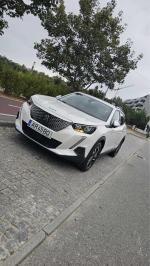 peugeot-2008-e-2008-2020-eletrico