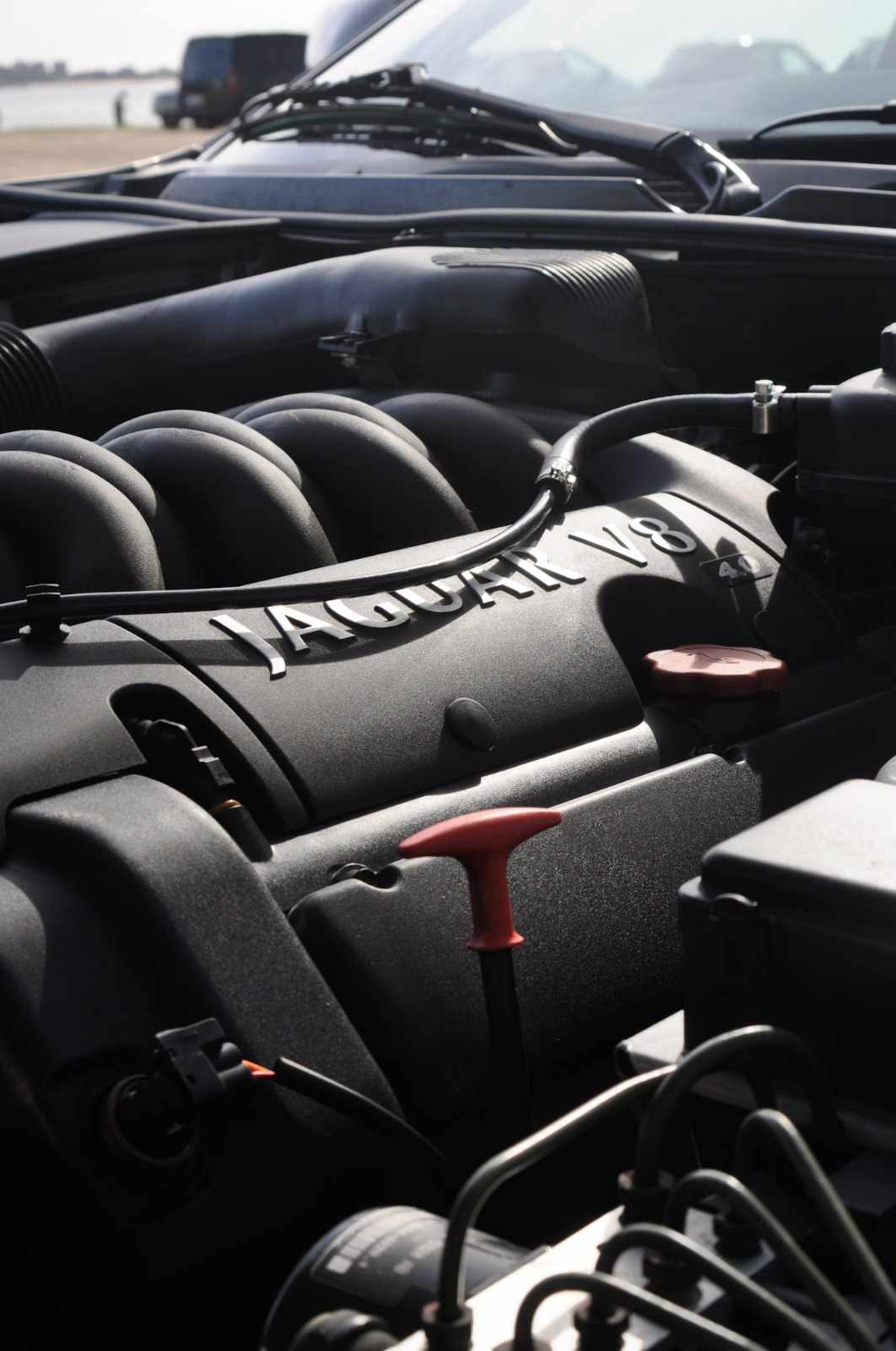 jaguar-xk8-coupe-v8-4-2-2004-gasolina-4200cc