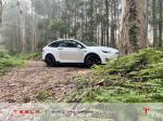 tesla-model-x-p100d-ludicrous-2019-eletrico