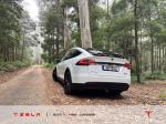 tesla-model-x-p100d-ludicrous-2019-eletrico