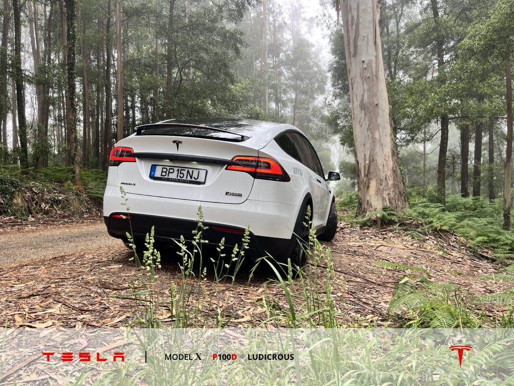 tesla-model-x-p100d-ludicrous-2019-eletrico