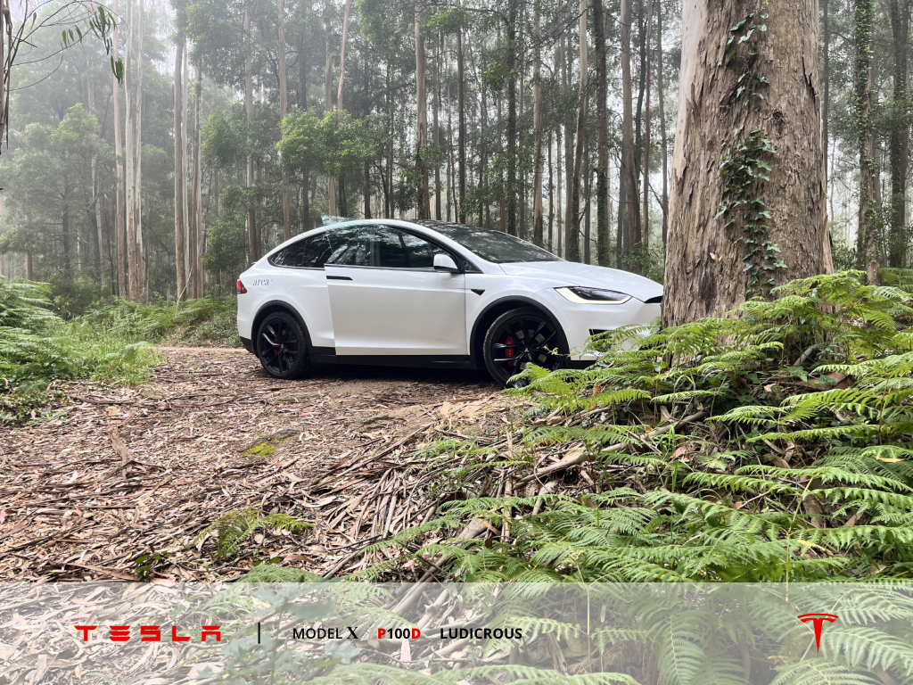 tesla-model-x-p100d-ludicrous-2019-eletrico