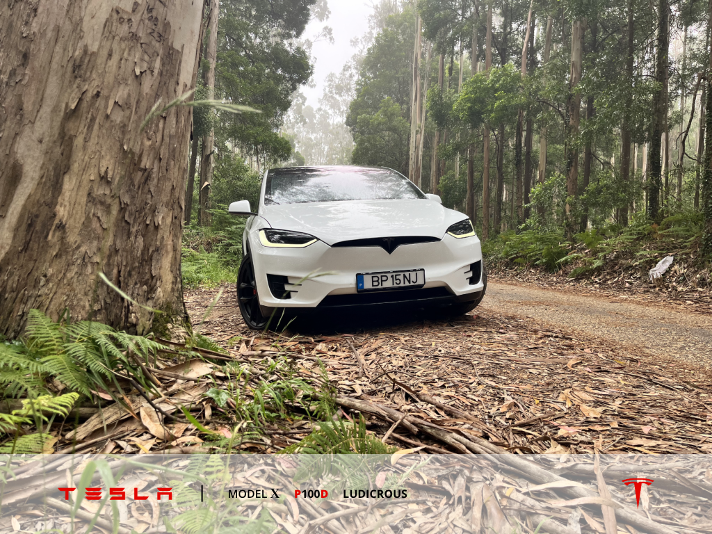 tesla-model-x-p100d-ludicrous-2019-eletrico