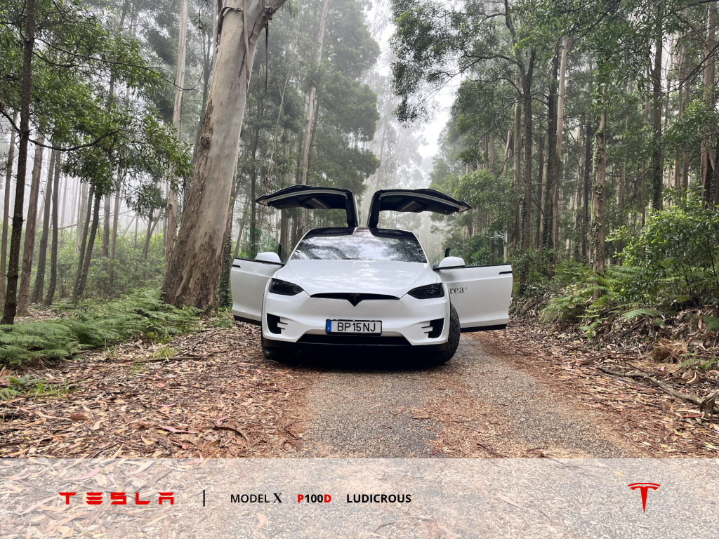 tesla-model-x-p100d-ludicrous-2019-eletrico