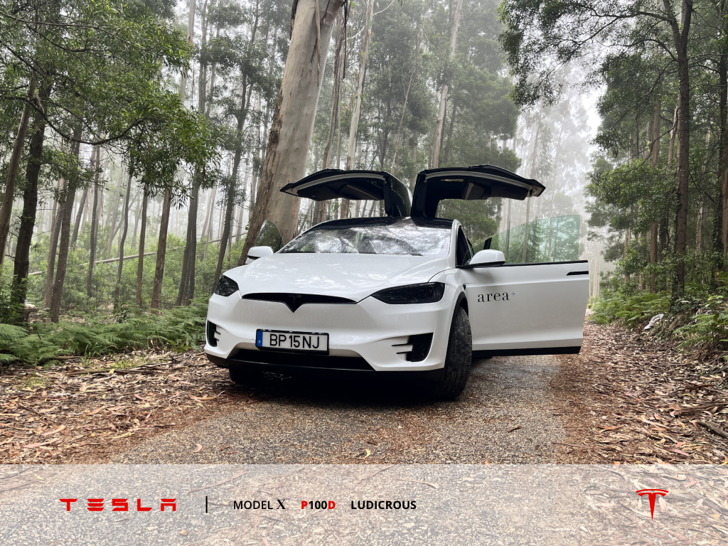 tesla-model-x-p100d-ludicrous-2019-eletrico