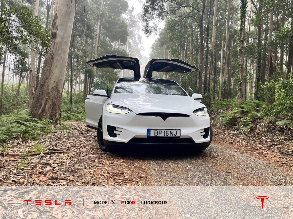 tesla-model-x-p100d-ludicrous-2019-eletrico