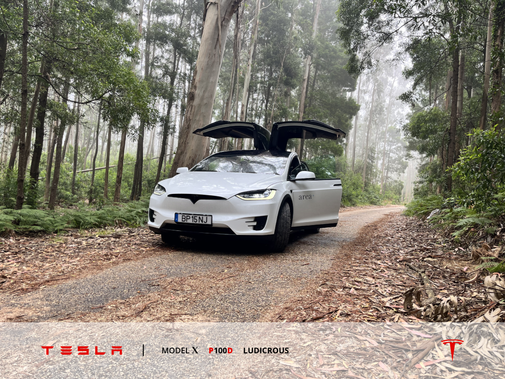 tesla-model-x-p100d-ludicrous-2019-eletrico