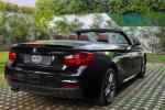 bmw-serie-2-225d-2017-diesel-1995cc