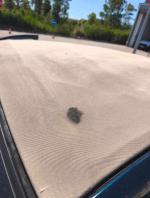 fiat-500-1-2-8v-automatic-2018-gasolina-1242cc
