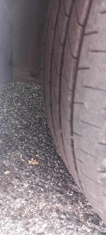chevrolet-aveo-1-2-2012-gasolina-1229cc